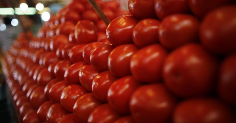 Mexico probing allegations of forced labor at tomato export firms